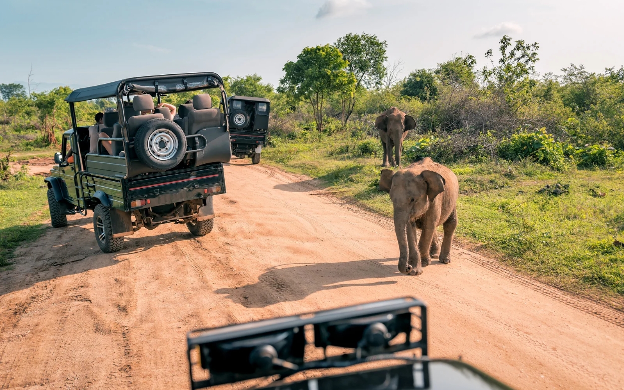 Serengeti Safari in Tanzania